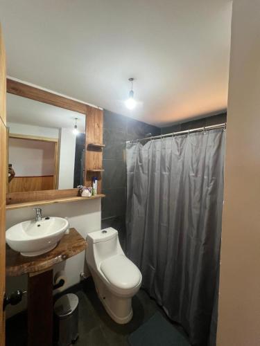 a bathroom with a sink and a toilet and a shower at Colibrí lodge in Recinto