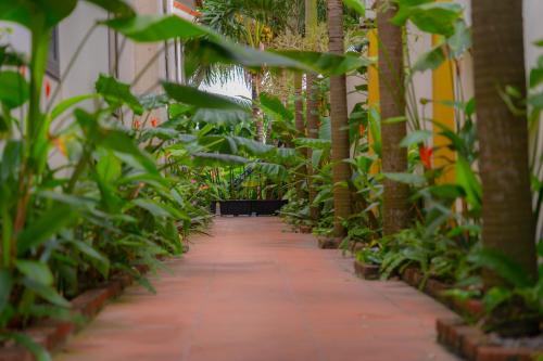a corridor of plants in a greenhouse at Laoxao Homestay in Hoi An
