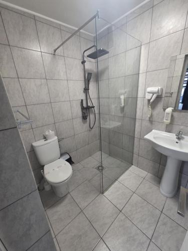 a bathroom with a shower and a toilet and a sink at Casa de Cultura house in Constanţa