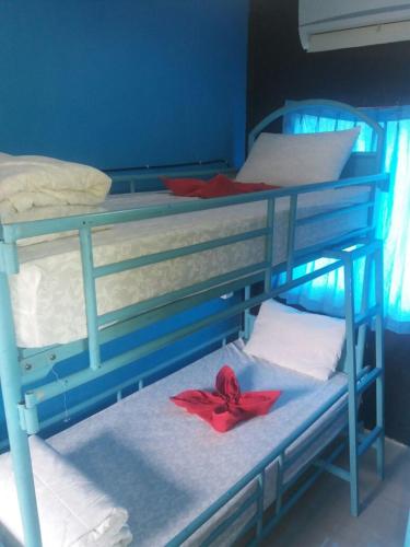 two bunk beds with a red bow on them at Asher Bali Transit in Kuta