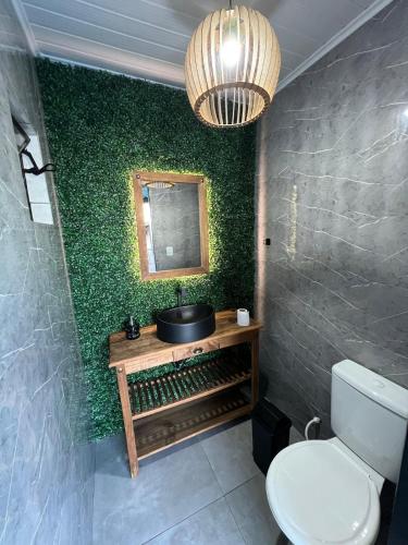 a bathroom with a green wall with a sink and a toilet at Studio c Piscina, AC e Café Novo Hamburgo in Novo Hamburgo