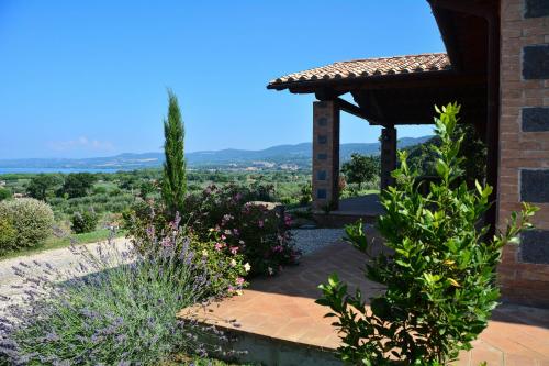 a garden with a pergola and some plants at Agriturismo Parco di Canuleio - con vista sul Lago in Bolsena