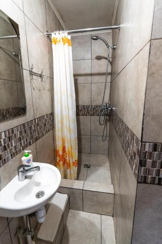 a bathroom with a sink and a shower at Mini-hotel Franko Park in Lviv