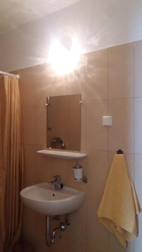 a bathroom with a sink and a mirror at Barokk Antik Guest House in Kecskemét