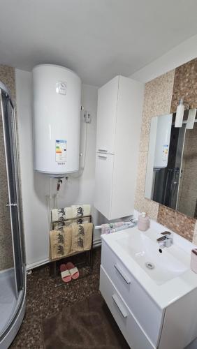 a bathroom with a white sink and a shower at Cheia House in Cheia