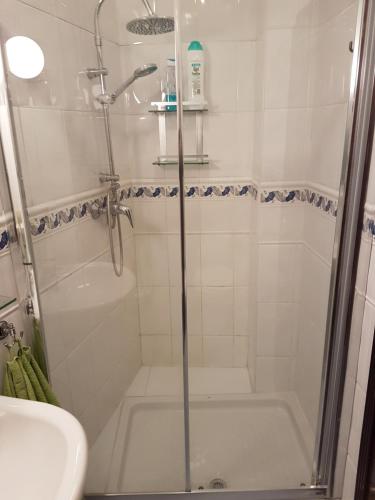 y baño con ducha y puerta de cristal. en Apartamento Venecia Arenal, en Sevilla