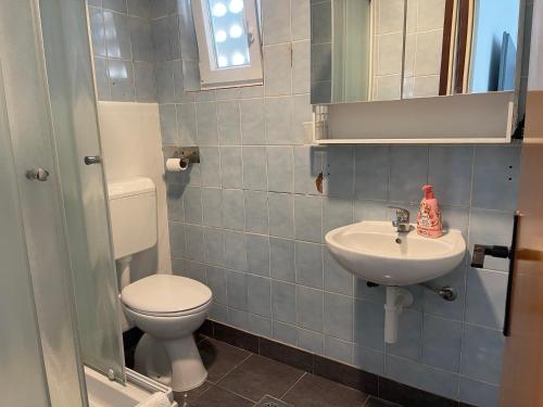a bathroom with a toilet and a sink at Villa Csery 1stzime in Supetarska Draga