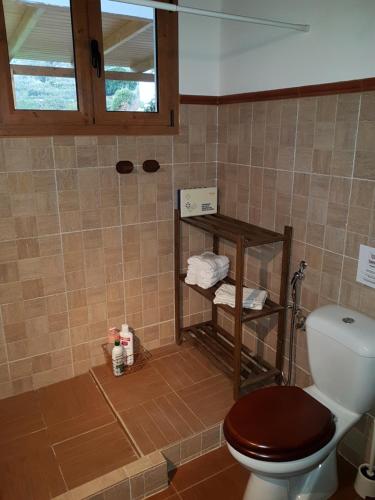 a bathroom with a toilet and a shelf with towels at Casa Rural La Hoyita de Tunte in San Bartolomé