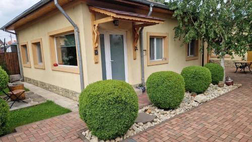 a house with a bunch of bushes in front of it at Casa Teo in Buzău