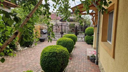 a garden with a row of bushes and a walkway at Casa Teo in Buzău