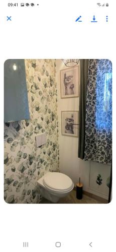 a bathroom with a toilet and a shower curtain at Le gîte des Romains in Anor