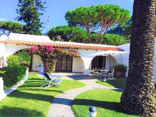 a house with a yard with chairs and a palm tree at Villetta con Giardino esclusivo di 1000 mq, Piscina, Tennis, Calcio, Bocce in Forio d'Ischia