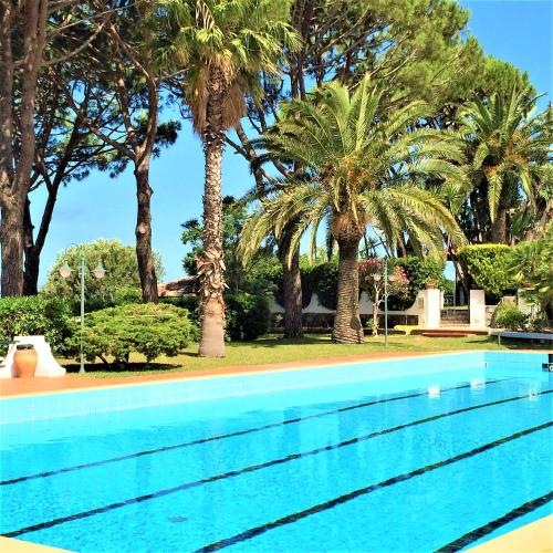 a swimming pool with palm trees in the background at Villetta con Giardino esclusivo di 1000 mq, Piscina, Tennis, Calcio, Bocce in Forio d'Ischia