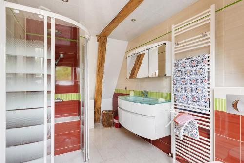 a bathroom with a sink and a mirror at Gîte Roses De Loire in Bréhémont