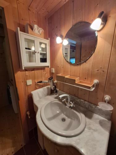 a bathroom with a sink and a mirror at Seewaldhüttn in Oberaichwald