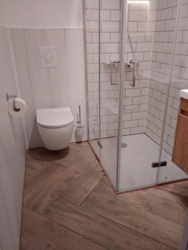 a bathroom with a toilet and a glass shower at Gasthaus zur Grenze Zeltplatz in Cuxhaven