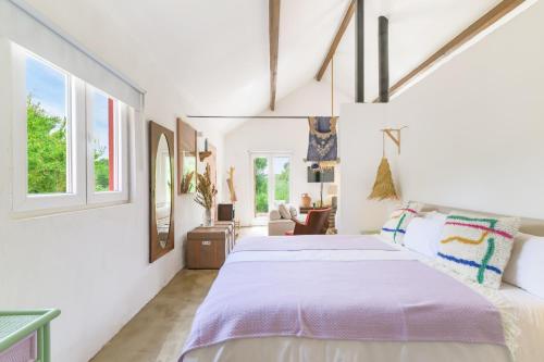 a bedroom with a large bed and two windows at Cozy Countryside Studio in Aldeia do Cano