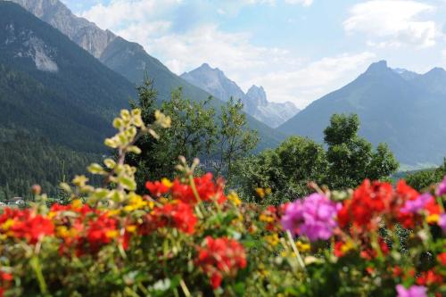 a field of flowers with mountains in the background at Appartements Agnes in Fulpmes