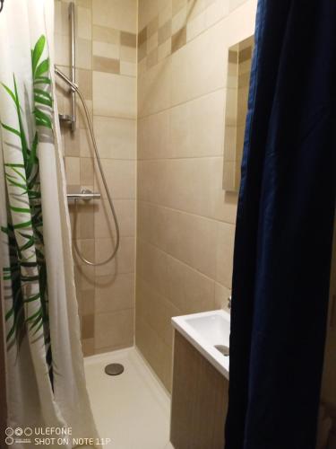 a bathroom with a shower and a sink at Habitation Occitania in Durban-Corbières