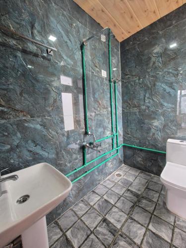 a bathroom with a sink and a toilet at The Sunflower Homes in Gondla