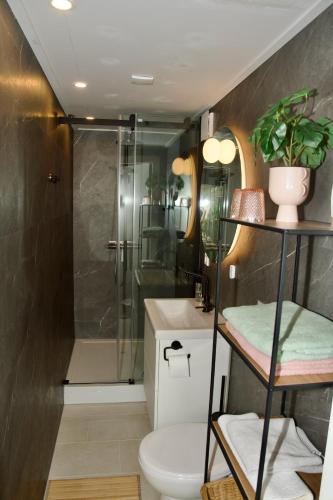 a bathroom with a shower and a toilet and a sink at Theetuin en B & B 'De Theetuin' in Wijckel