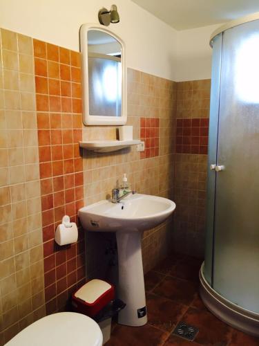 a bathroom with a sink and a toilet and a mirror at Vila close to Bran Castle in Moieciu de Jos