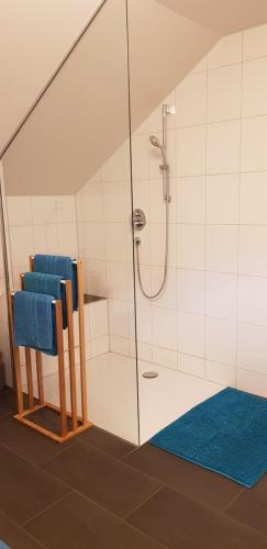 a bathroom with a shower with blue towels at Premium Apartment - großzügig & zentral wohnen in Schwarzenberg