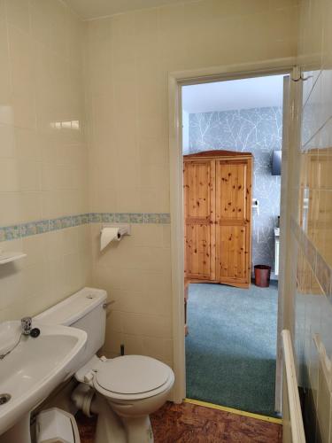 a bathroom with a toilet and a sink at River Hotel in Oxford