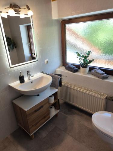 a bathroom with a sink and a toilet and a mirror at Ferienwohnung Gabriel in Bad Kohlgrub