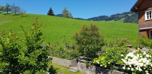 a garden in front of a green hill with a house at Premium Apartment - großzügig & zentral wohnen in Schwarzenberg