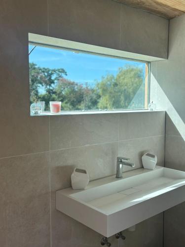 a bathroom with a sink and a window at Relais Équestre du Neufeld - Roulotte Nature in Oberhaslach