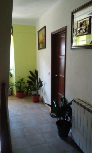 a hallway with potted plants and a wooden door at Pensão Estrela in Unhais da Serra