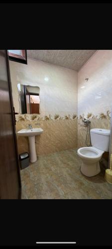 a bathroom with a toilet and a sink at Rusalka in Kobuleti