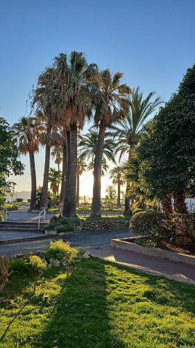 Palm Beach Moure R Sunset