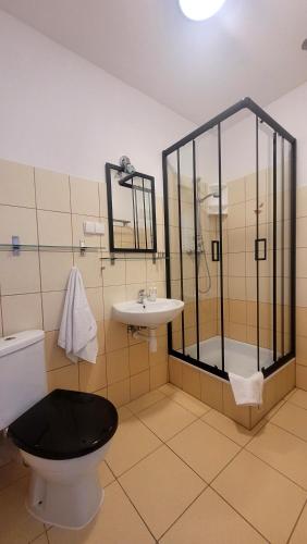 a bathroom with a shower and a toilet and a sink at Willa Akme in Stronie Śląskie