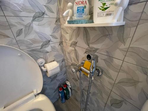 a bathroom with a toilet and some tools on a wall at Rifugio Nel Cuore Dell'Abruzzo in Carpineto Sinello