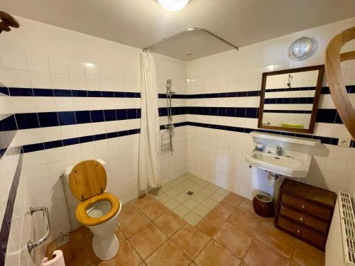 a bathroom with a toilet and a sink at Manoir La Bordeneuve in Villeneuve-sur-Lot
