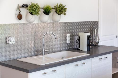 a kitchen counter with a sink and some potted plants at La maison du verger in Loctudy