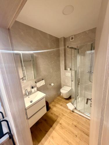 a bathroom with a shower and a sink and a toilet at Domus Klek in Kučinić-Selo