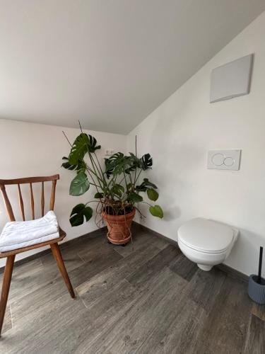 a bathroom with a toilet and a potted plant at Ferienwohnung Bergblick in Bad Aibling