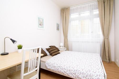 Sunny rooms in Karlín