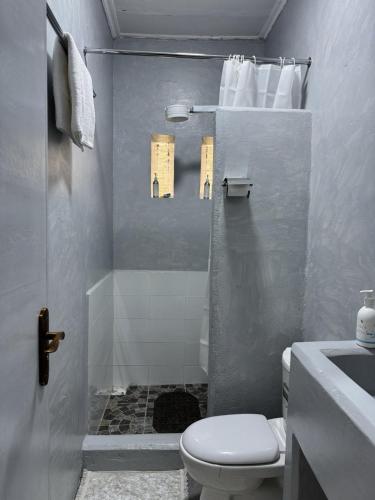 a bathroom with a shower and a toilet and a sink at Platinum House in Nyeri