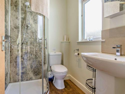 a bathroom with a shower and a toilet and a sink at 1 Bed in Llangammarch Wells oc-bn020 in Garth