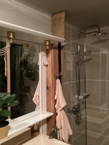 a bathroom with a shower and a sink and a mirror at Vincenzo le cyclo in Kientzheim