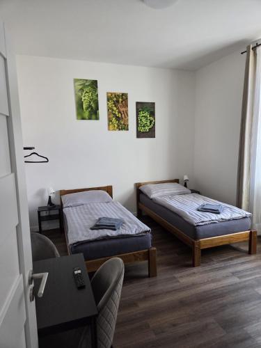 a room with two beds and a chair in it at Penzion u Nás u Hospůdky in Žatec