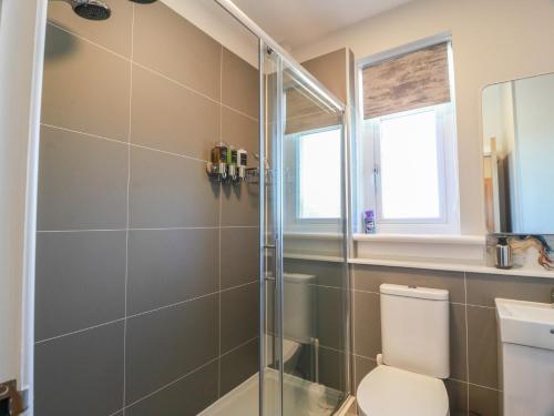 a bathroom with a toilet and a glass shower at Castaway Cottage Maidens in Girvan