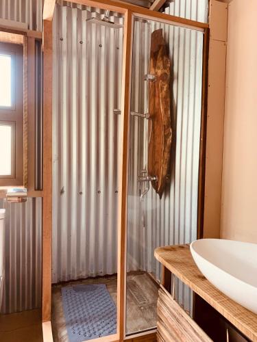 a bathroom with a shower and a sink at Lotus Lodge Ocean View in Port Mathurin