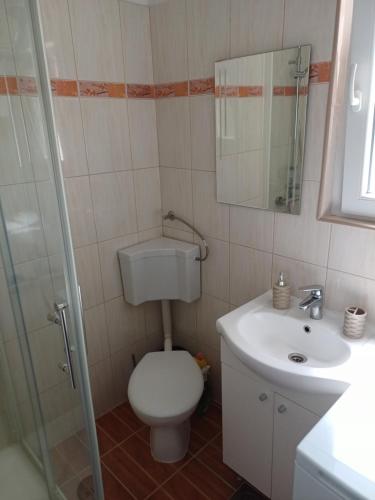 a bathroom with a toilet and a sink and a shower at Adria in Pašman