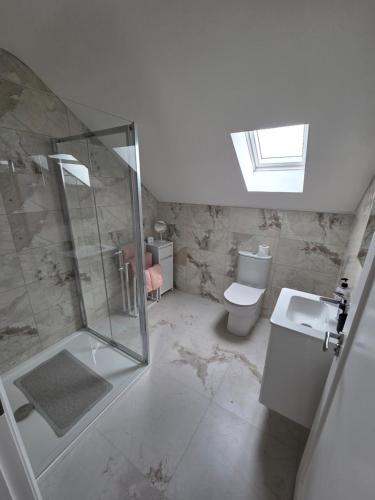 a bathroom with a shower and a toilet and a sink at Sheehan's in Bealaclugga
