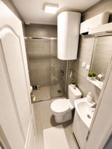a bathroom with a toilet and a shower and a sink at Etno kuća Radonjić - Family Retreat & Spa in Guča